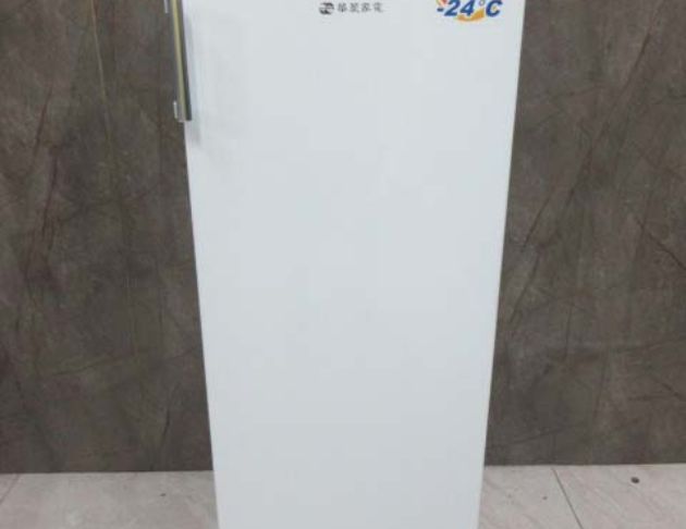 二手冰箱 華菱168公升單門冷凍冰箱 冷凍櫃 冷凍冰櫃 電冰箱