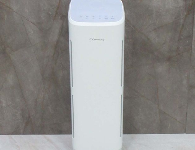 二手空氣清淨機 Coway格威18坪 綠淨力直立式空氣清淨機