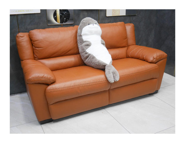 二手 皇齊 雙人沙發 牛皮沙發 客廳沙發 休閒沙發
